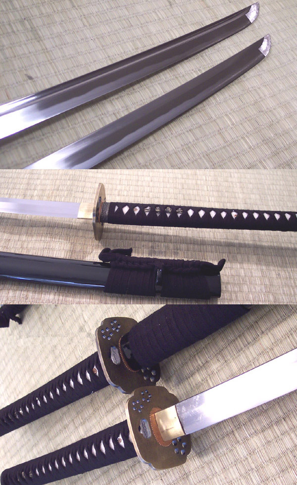 bujinkan2.jpg